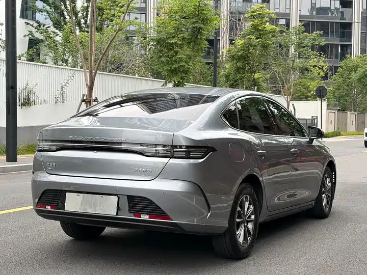 2023 Champion Edition DM-i 55KM Luxury Used Car for Export 12