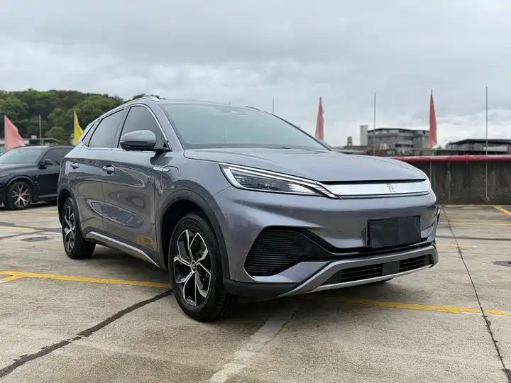 Champion Edition 430KM Beyond Version Used Car for Export 2