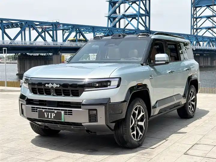 2025 Wisdom & Courage Luxury 7-Seater Used Car for Export 1