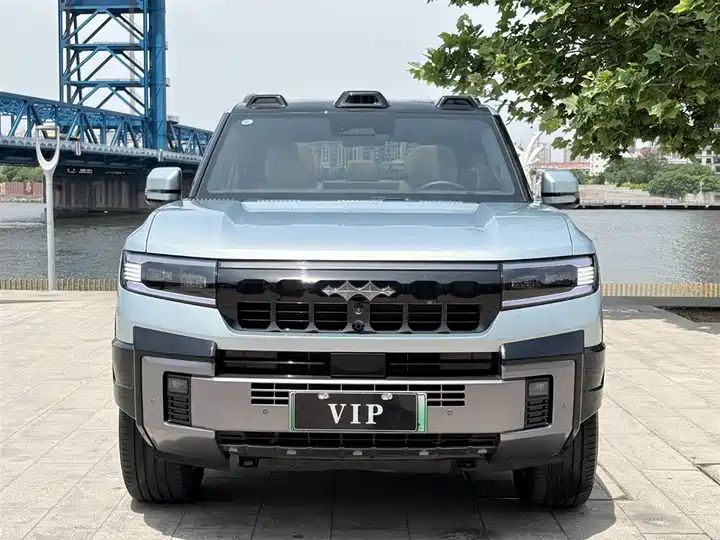 2025 Wisdom & Courage Luxury 7-Seater Used Car for Export 2