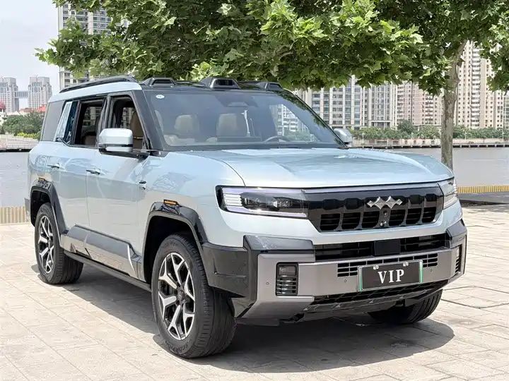 2025 Wisdom & Courage Luxury 7-Seater Used Car for Export 3