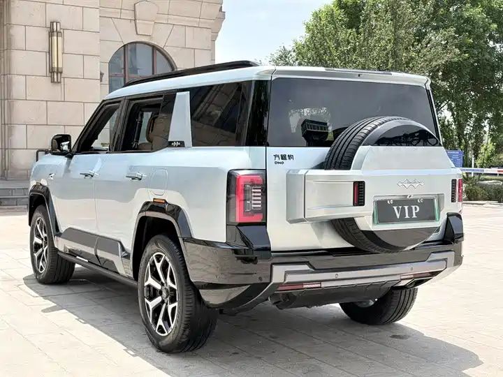 2025 Wisdom & Courage Luxury 7-Seater Used Car for Export 7