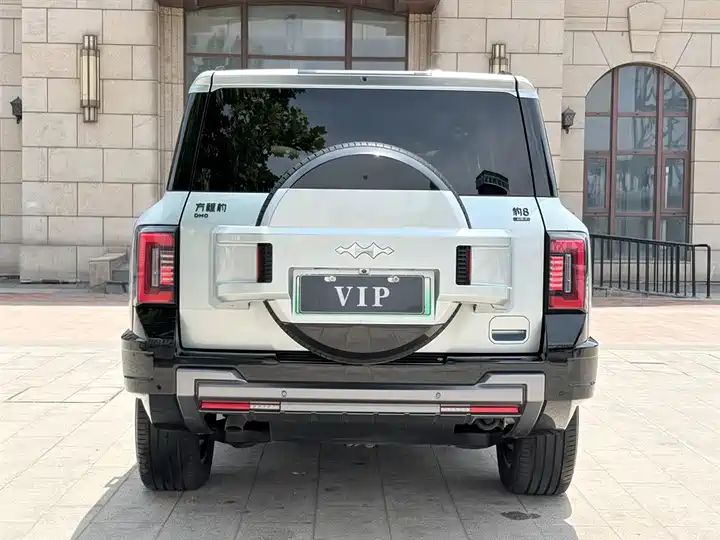 2025 Wisdom & Courage Luxury 7-Seater Used Car for Export 8