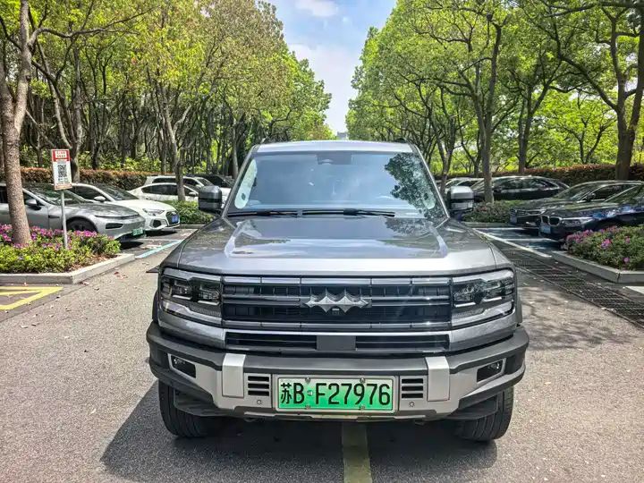 2024 Pilot Edition Off-road Used Car for Export from China 1