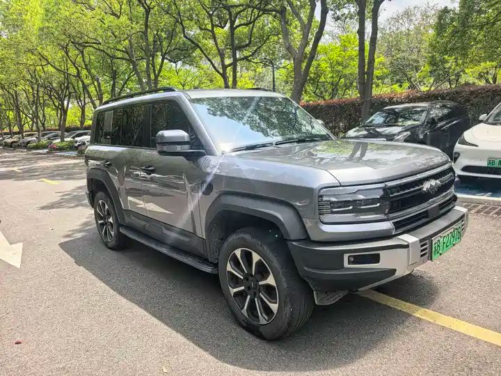 2024 Pilot Edition Off-road Used Car for Export from China 2