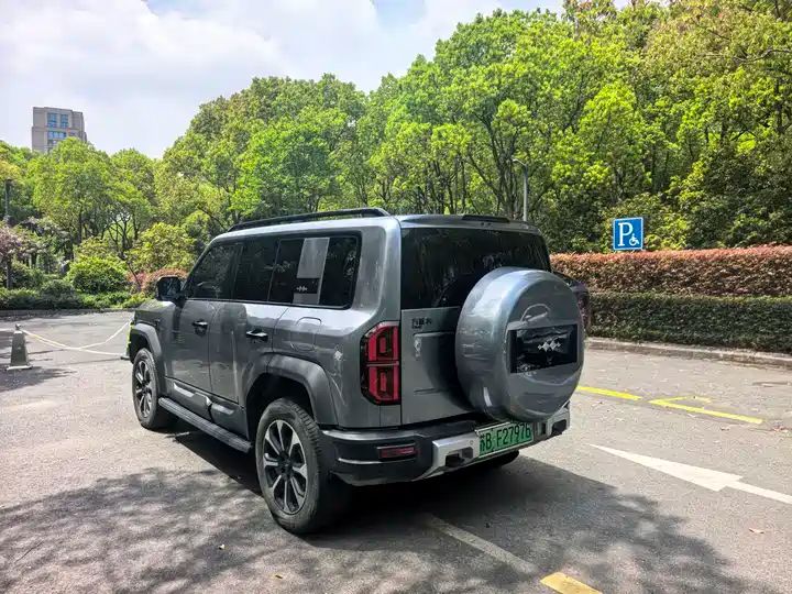 2024 Pilot Edition Off-road Used Car for Export from China 3