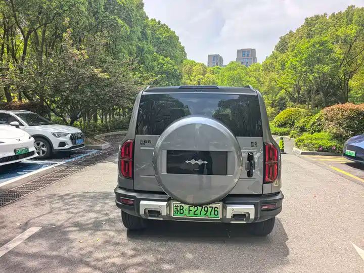 2024 Pilot Edition Off-road Used Car for Export from China 4