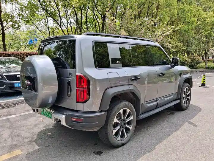 2024 Pilot Edition Off-road Used Car for Export from China 5