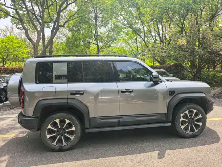2024 Pilot Edition Off-road Used Car for Export from China 7
