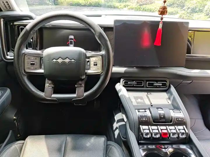2024 Pilot Edition Off-road Used Car for Export from China 14