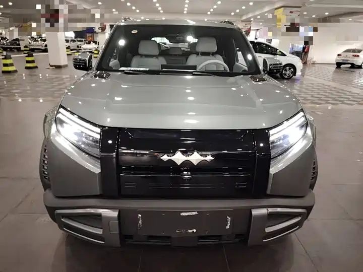 501km 4WD Ultra EV Off-road SUV from China 2