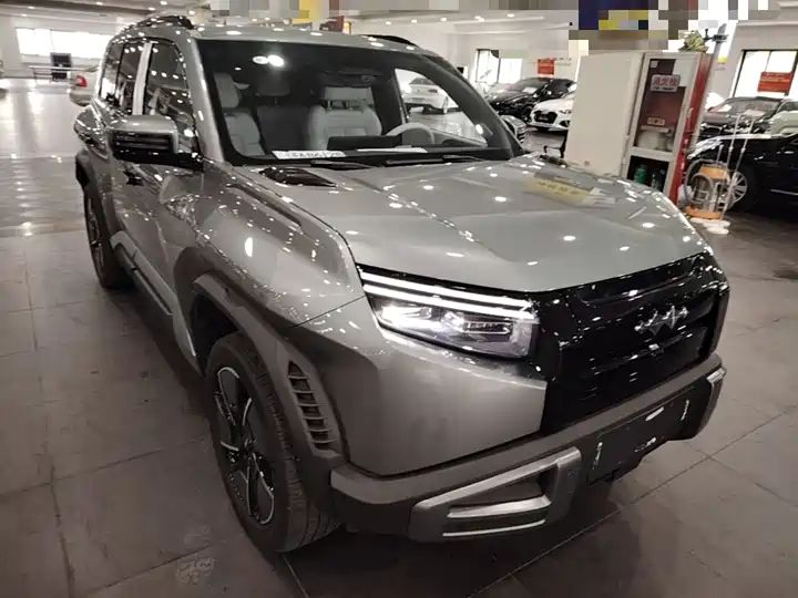 501km 4WD Ultra EV Off-road SUV from China 3