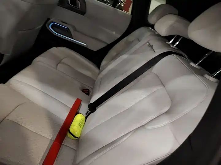 501km 4WD Ultra EV Off-road SUV from China 14
