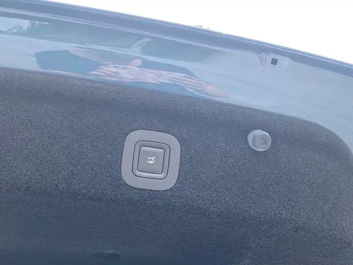 2025 550KM LiDAR Version Used EV for China Export 12