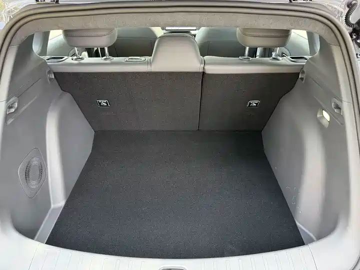 Max 515km Electric Hatchback from China 11