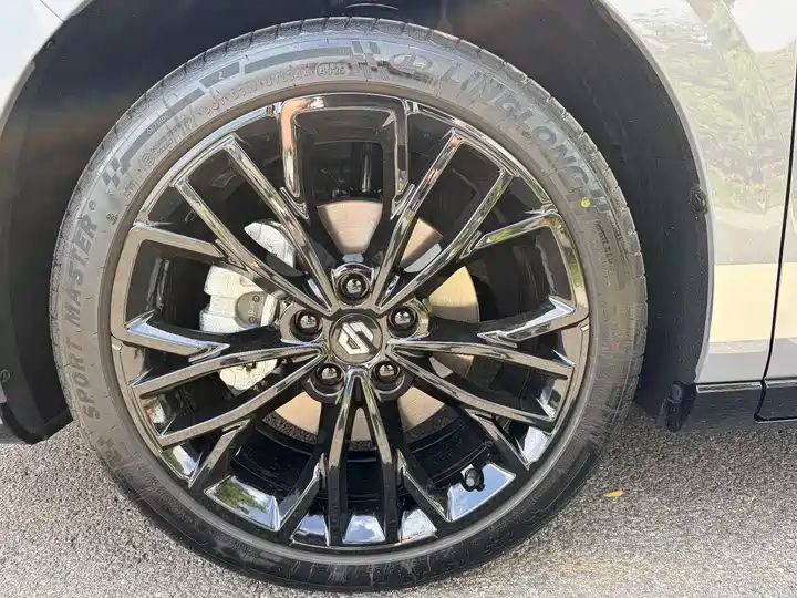 Max 515km Electric Hatchback from China 13