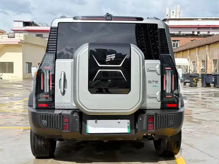 Wilderness Edition | Used SUV Export from China 10