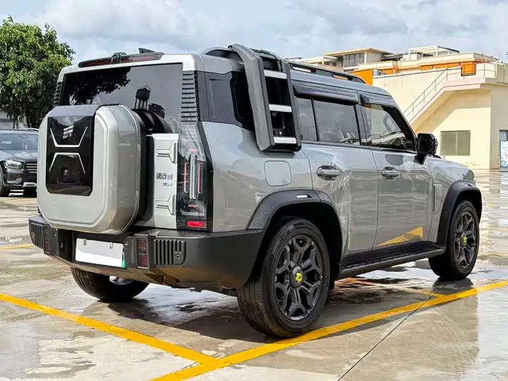 Wilderness Edition | Used SUV Export from China 11