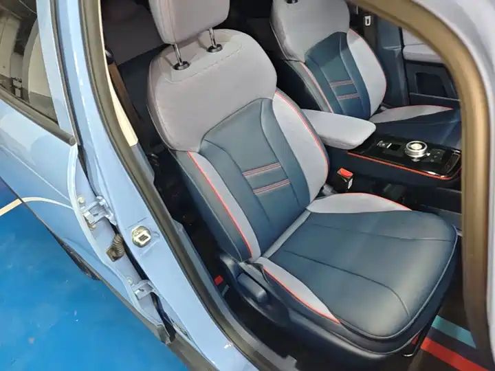 401km Exquisite Tiger 5-Seater LHD Used Car 7