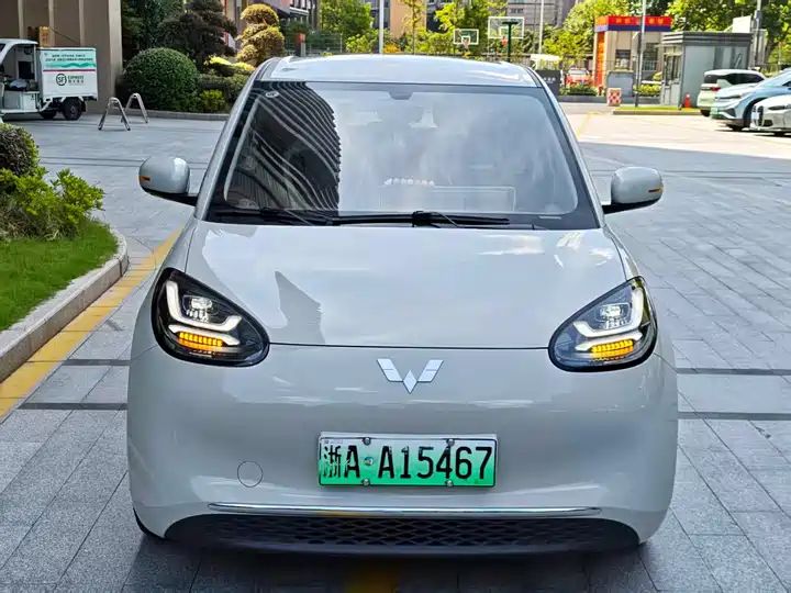 2024 333km Enjoy Version, LHD Sourced from China Auto Web 1