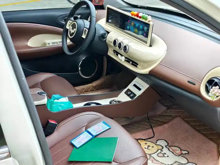 2024 333km Enjoy Version, LHD Sourced from China Auto Web 2