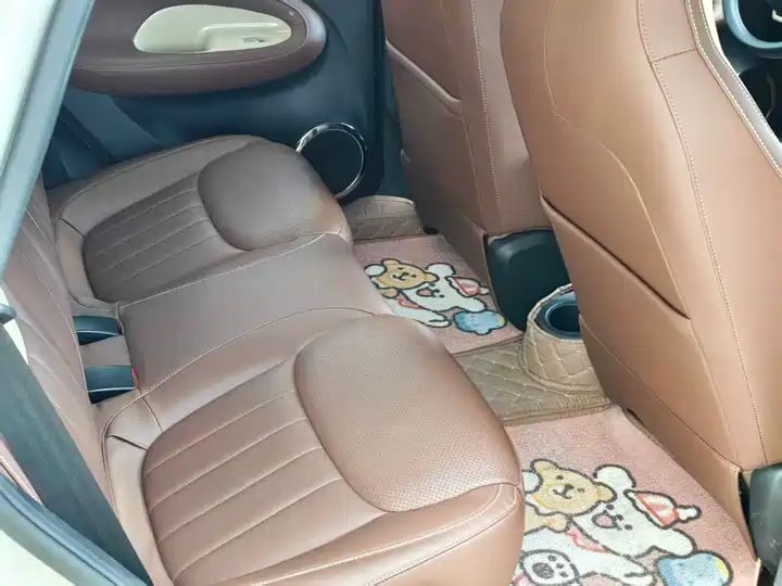 2024 333km Enjoy Version, LHD Sourced from China Auto Web 3