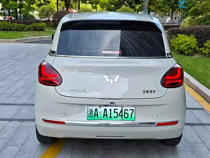 2024 333km Enjoy Version, LHD Sourced from China Auto Web 5