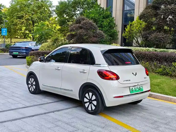 2024 333km Enjoy Version, LHD Sourced from China Auto Web 6