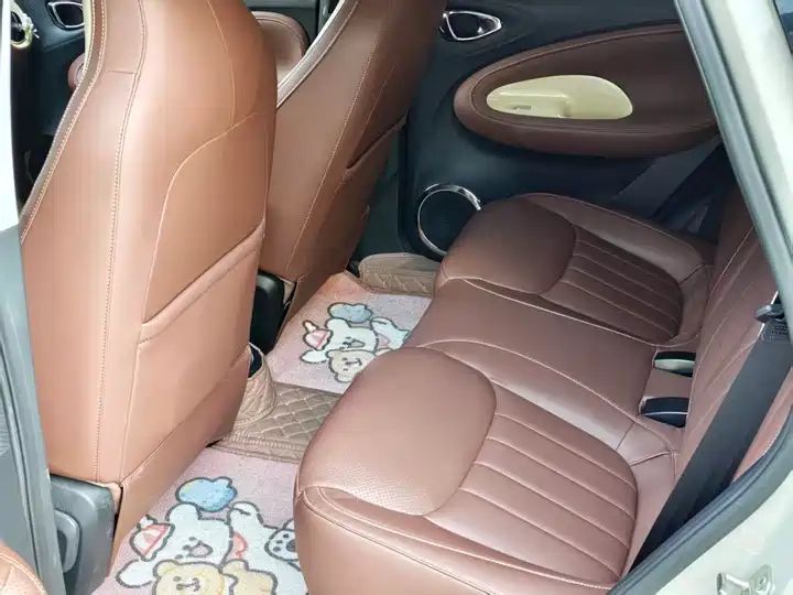 2024 333km Enjoy Version, LHD Sourced from China Auto Web 7