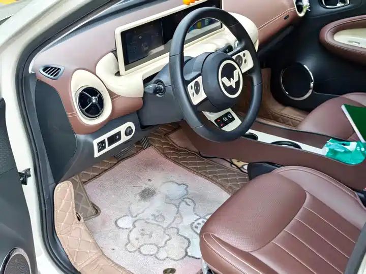 2024 333km Enjoy Version, LHD Sourced from China Auto Web 8