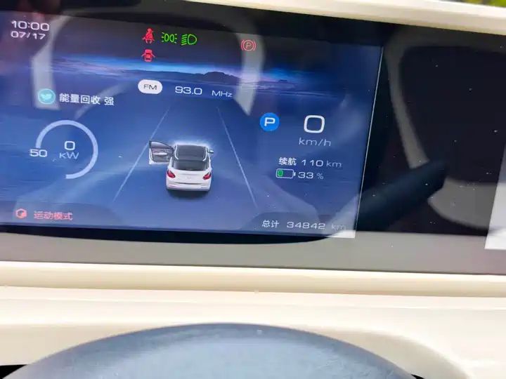 2024 333km Enjoy Version, LHD Sourced from China Auto Web 9