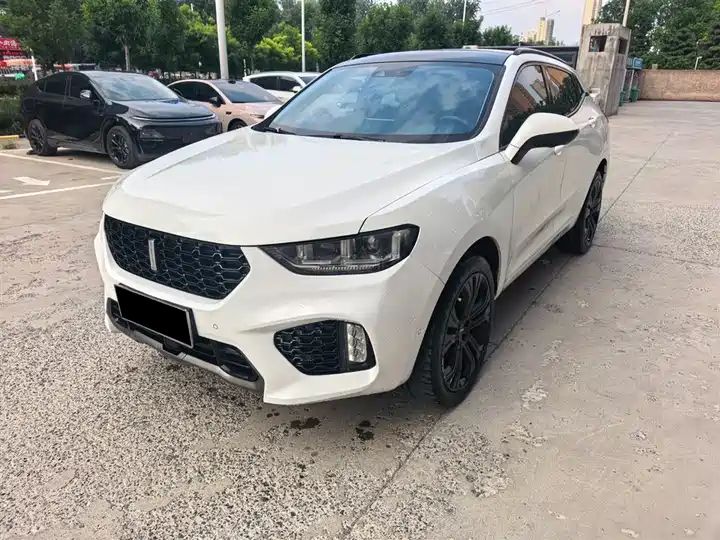 2.0T Flagship LHD SUV | Good Condition Used Chinese Cars Wholesale Export Sourcing