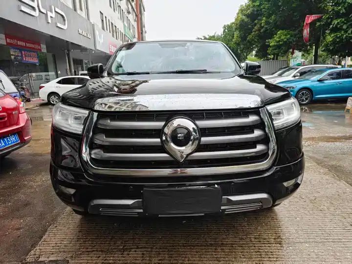 Passenger Global Edition 2.0T Diesel 2WD Comfort Standard Bed GW4D20M Used Pickup for Export